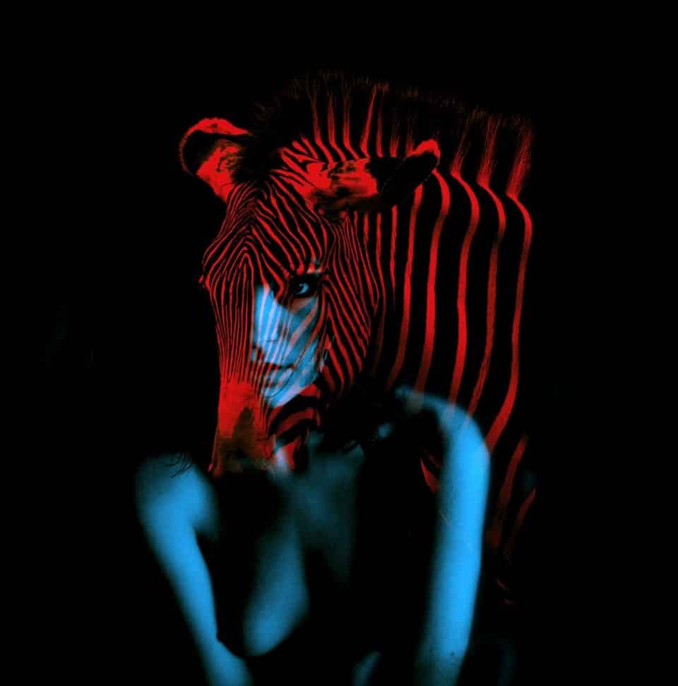 I Dreamt I Was Running