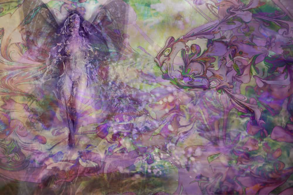 Hottie and the Blowfish