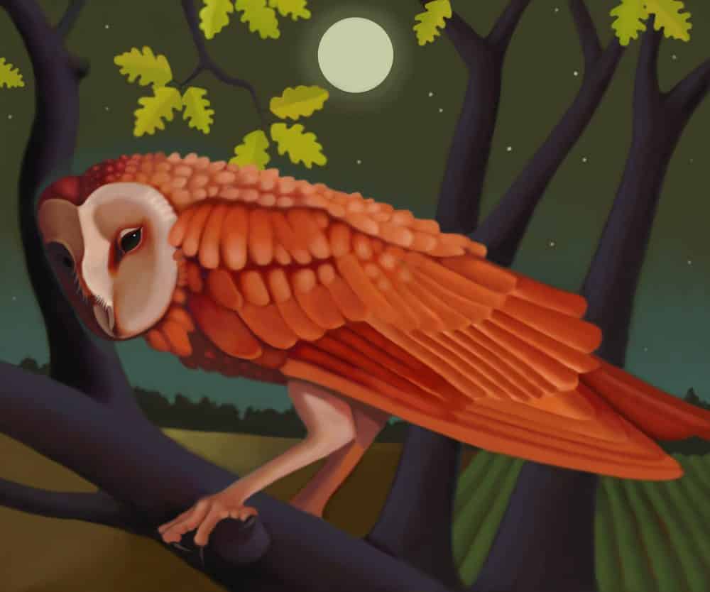 Barnowl