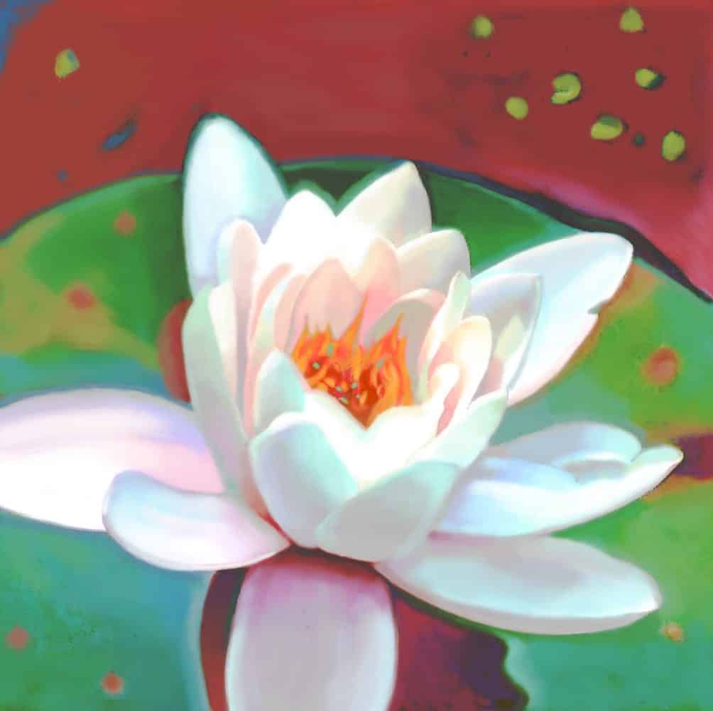 Lily 1