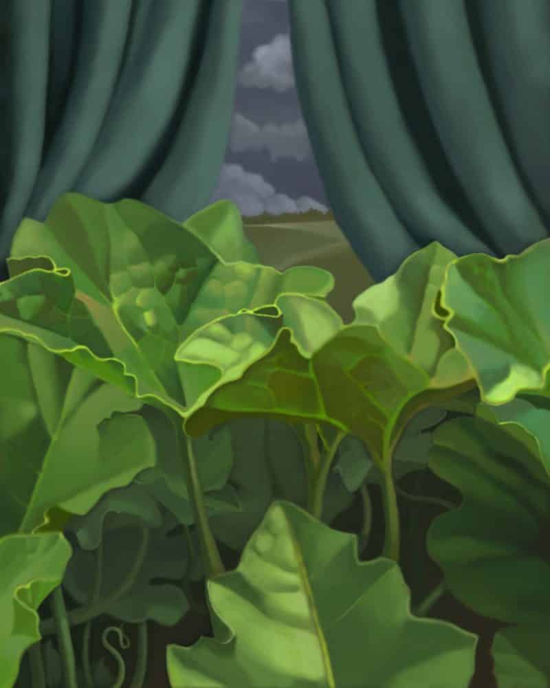 Storm Curtain