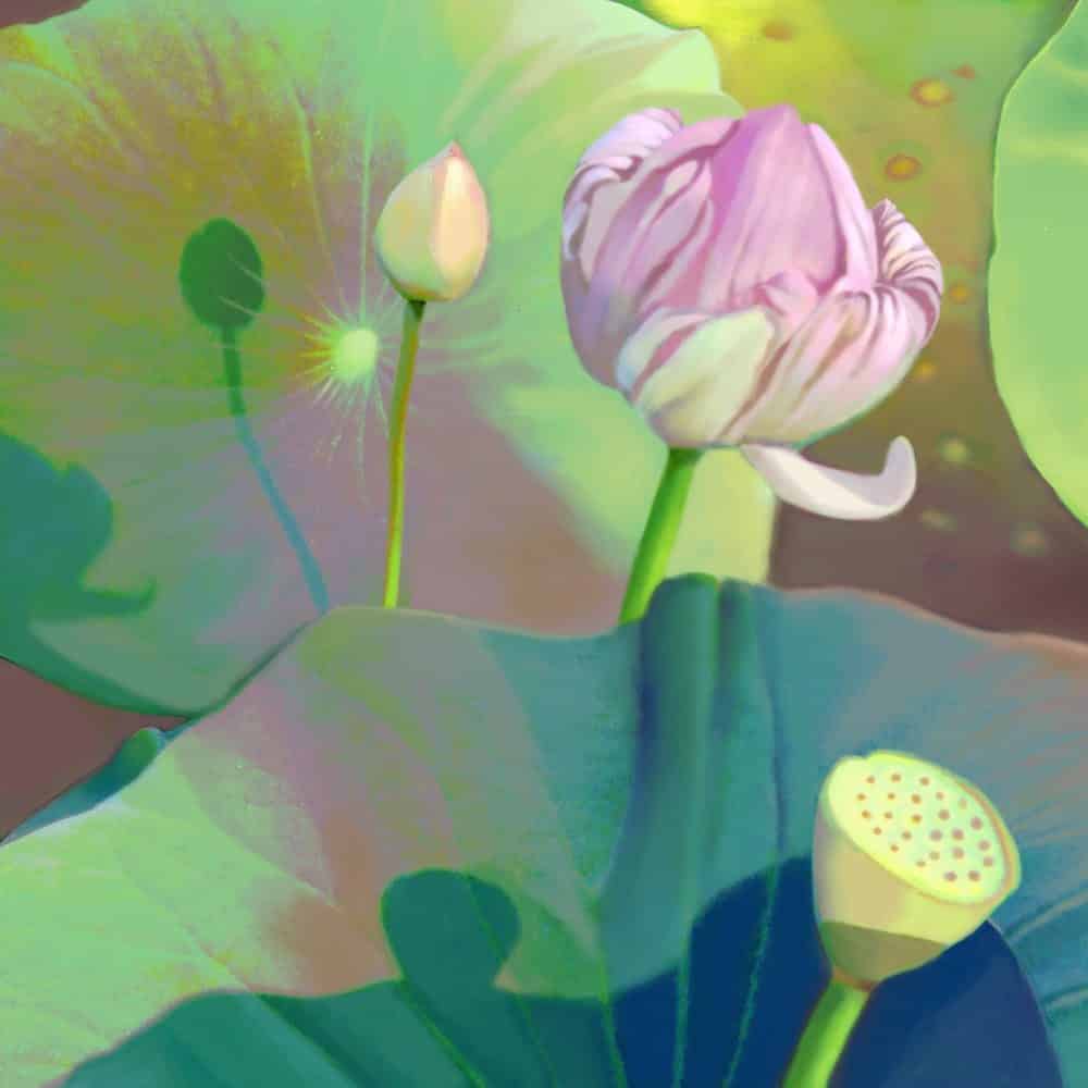 Vedanta Lotus 2