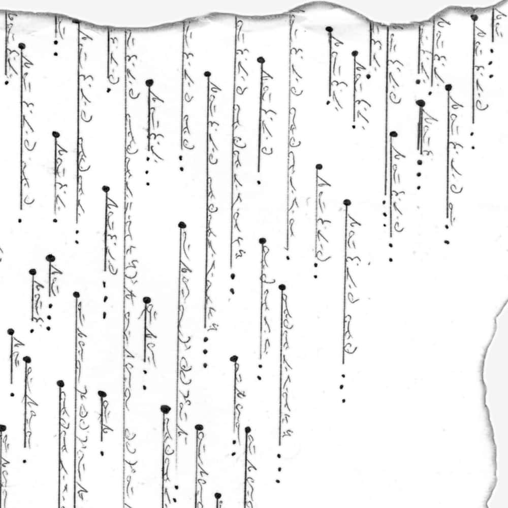 Dyad (details 2)
