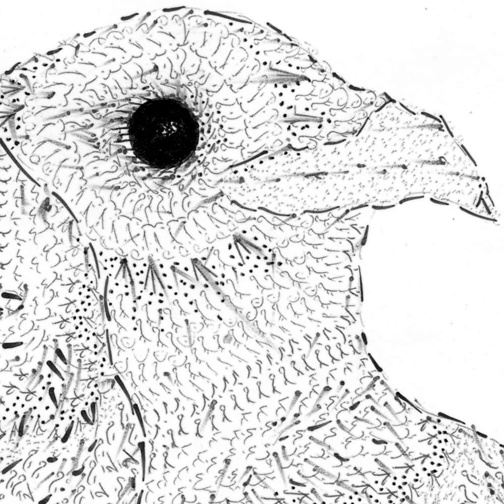 Dyad (details 3)